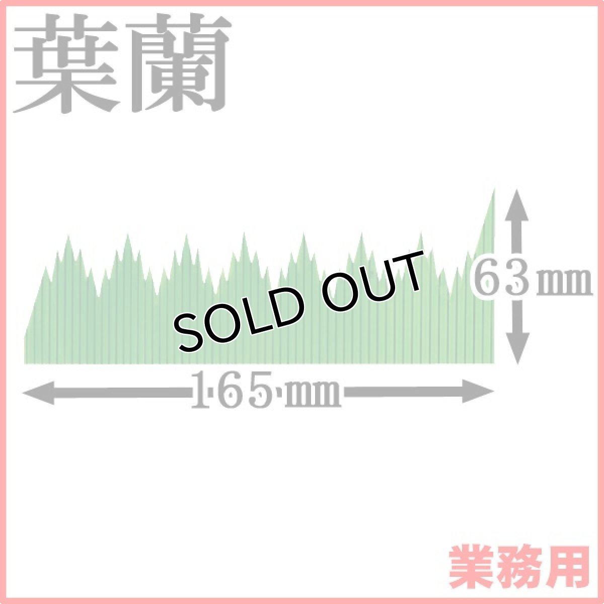 画像1: お料理の引き立て役！お寿司や刺身、お弁当などの仕切りに！業務用・葉蘭[バラン]仕切長バラン 1枚当たり0.45円【20箱／20,000枚入り】約W165mmxH63mm (1)