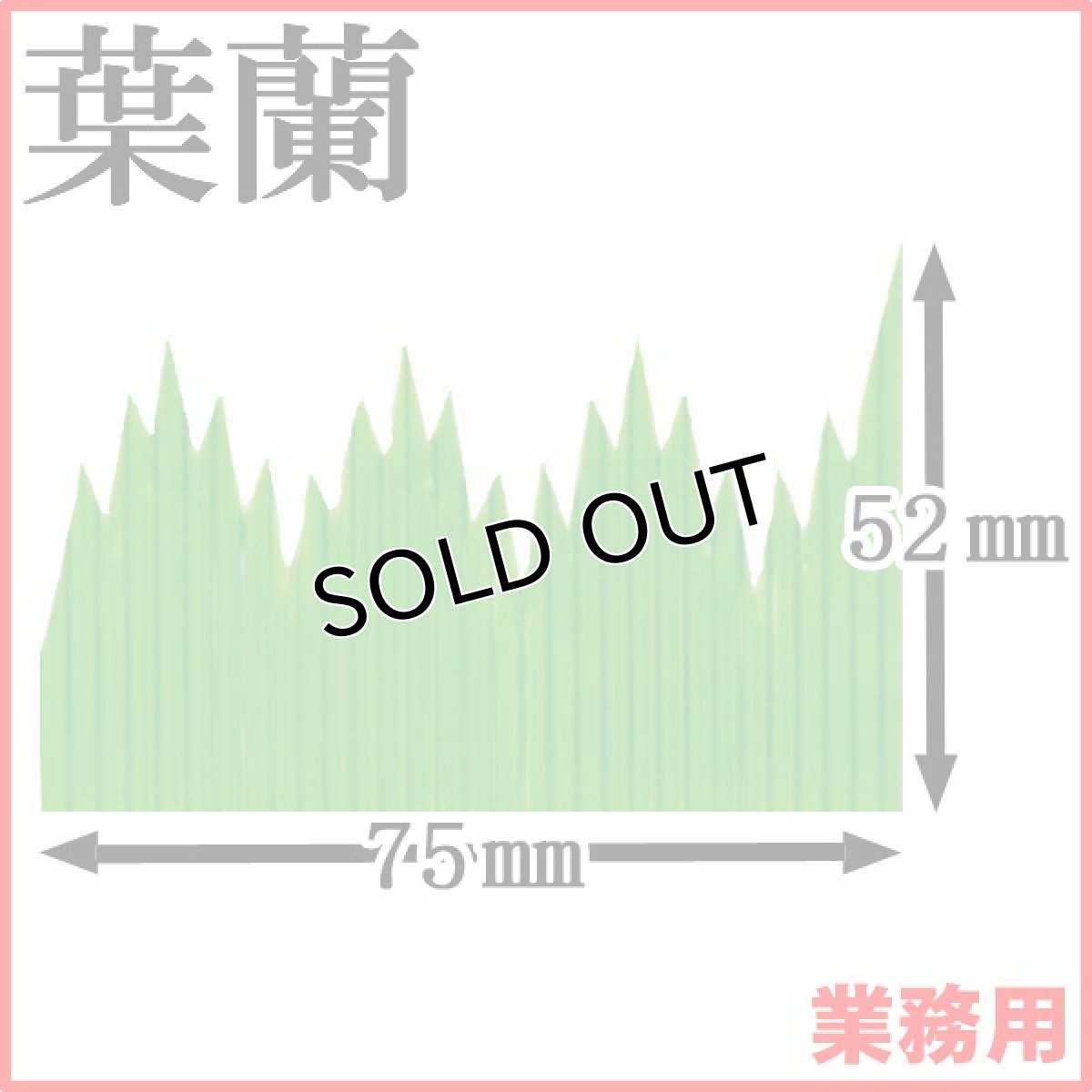 画像1: お料理の引き立て役！お寿司や刺身、お弁当などの仕切りに！業務用・葉蘭[バラン]スーパーバラン山1号 1枚当たり0.2円【60箱／60,000枚入り】約W75mmxH52mm ※ケース発送 (1)