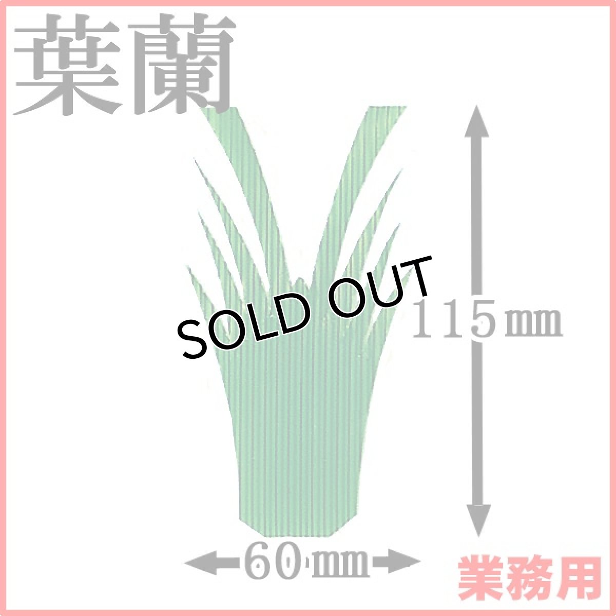画像1: お料理の引き立て役！御祝いの善や季節料理などの仕切りに！業務用・葉蘭[バラン]エビ1号 1枚当たり0.5円【45箱／45,000枚入り】約W60mmxH115mm ※ケース発送 (1)