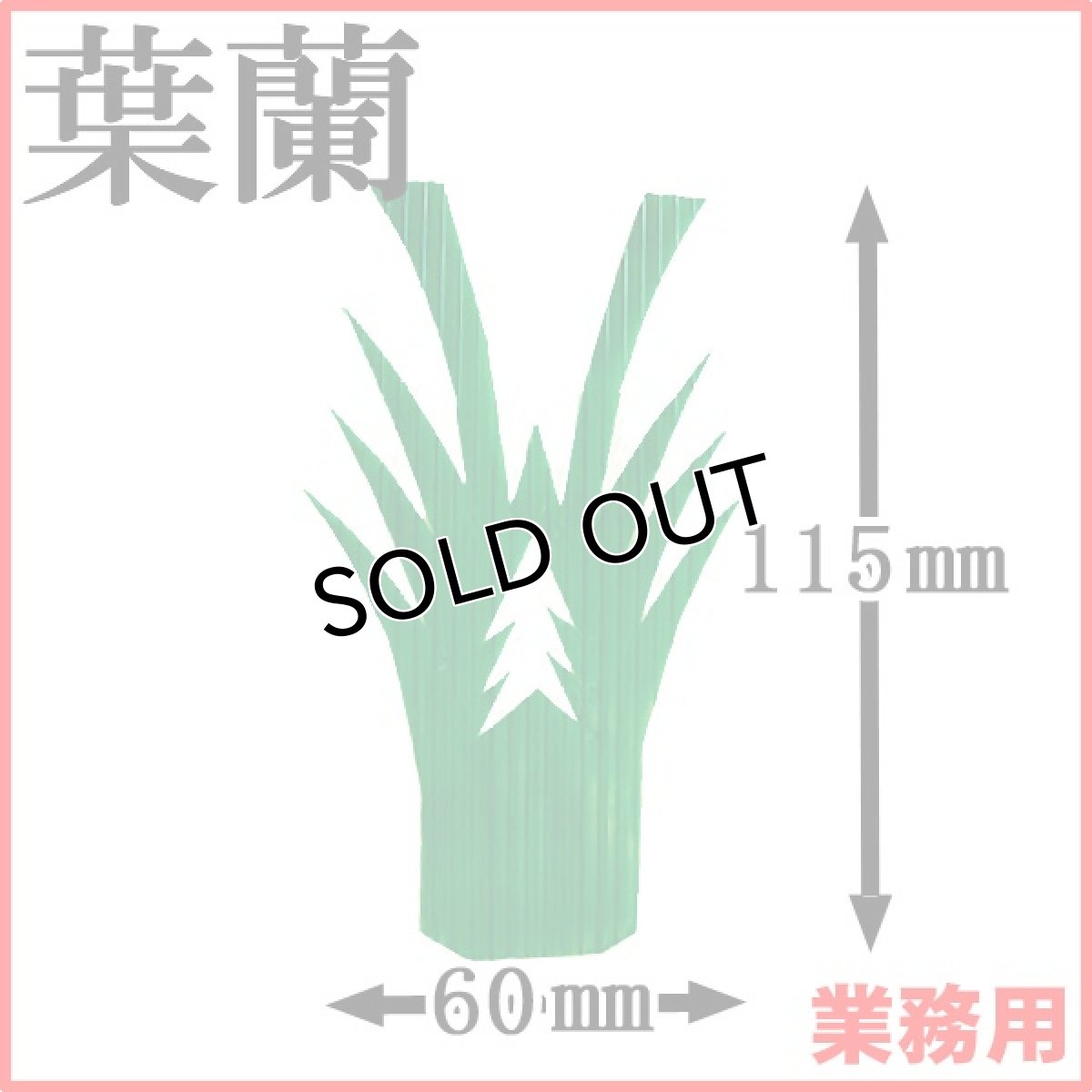 画像1: お料理の引き立て役！御祝いの善や季節料理などの仕切りに！業務用・葉蘭[バラン]エビ2号 1枚当たり0.55円【45箱／45,000枚入り】約W60mmxH115mm ※ケース発送 (1)