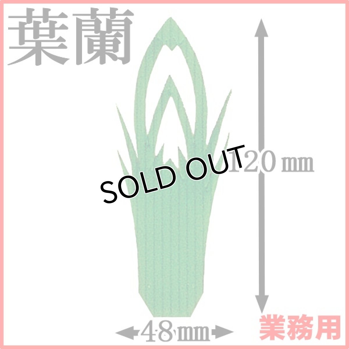 画像1: お料理の引き立て役！御祝いの善や季節料理などの仕切りに！業務用・葉蘭[バラン]タケノコ1号 1枚当たり0.65円【20箱／20,000枚入り】約W48mmxH120mm (1)