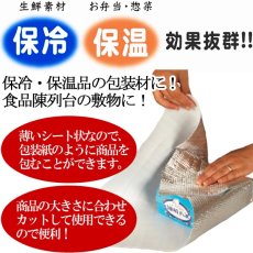 画像2: アルシート 小 450mm×500mm×厚み1mm　@93.5円 200枚入り ※ケース発送【アルミ保冷バッグ】【保温バッグ】【保冷バック】【業務用保冷袋】アルミ蒸着！断熱効果が高い発泡体にアルミ蒸着フィルムを使用！ (2)