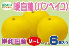 画像1: 大阪泉州産サイズ無選別　晩白柚（ばんぺいゆ）3.5kg〜4.5kg　※箱おまかせ！　キズ・変色など訳ありだけど　【返品・コンビニ決済不可】 (1)